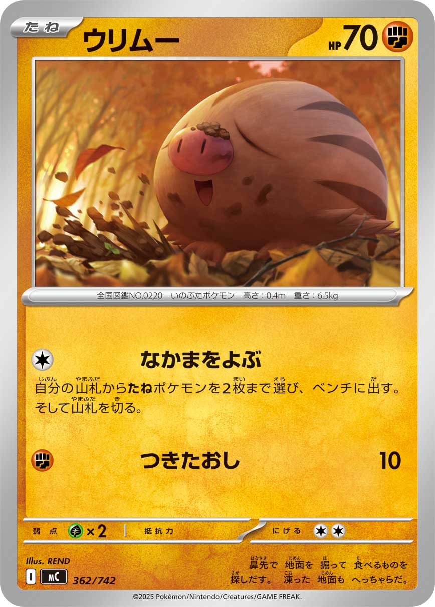 #362/742 小山豬 ウリムー Swinub