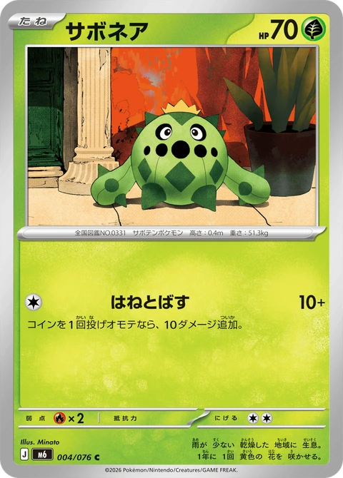 #004 刺球仙人掌 サボネア Cacnea