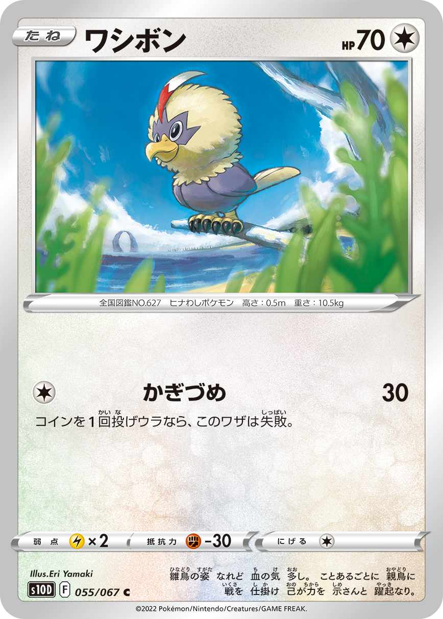 #055/067 毛頭小鷹 ワシボン Rufflet