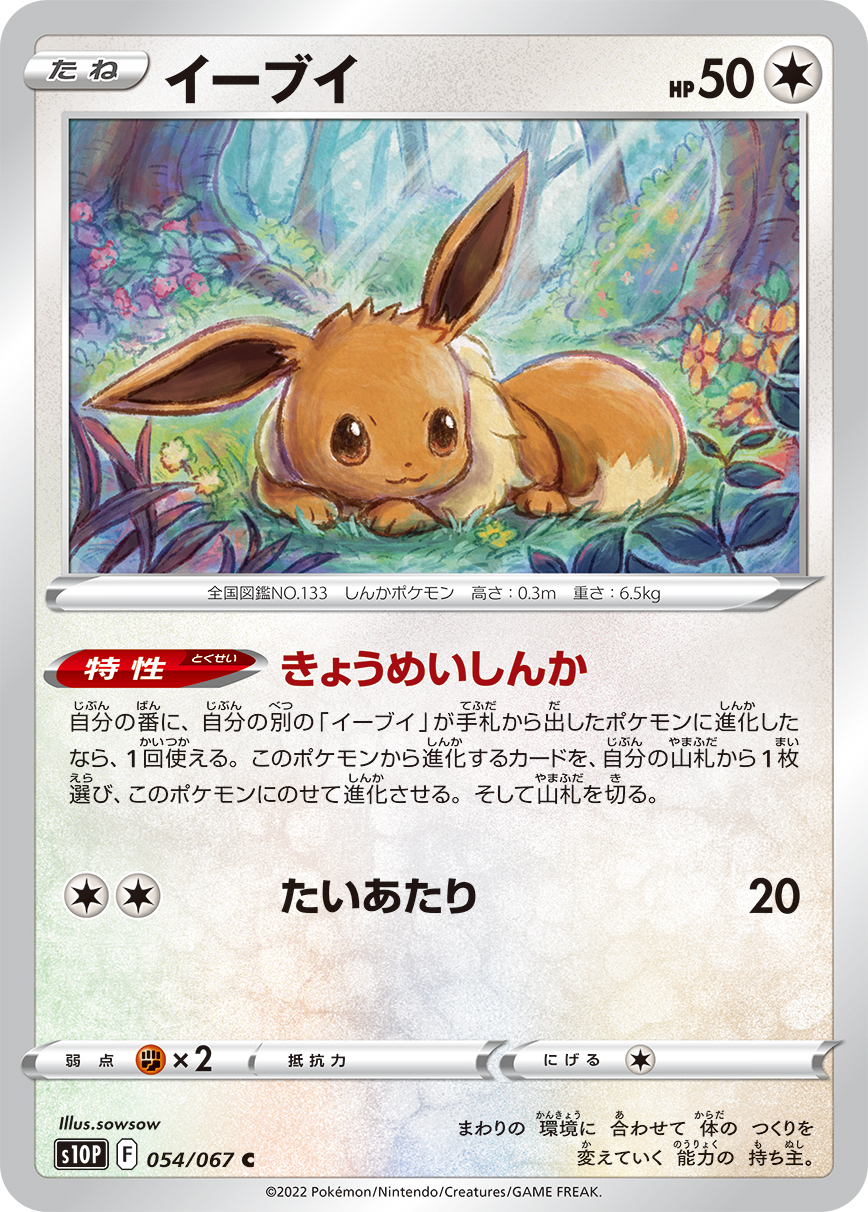 #054/067 伊布 イーブイ Eevee