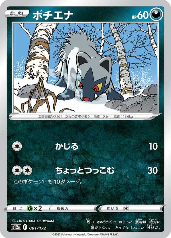 #081 土狼犬 ポチエナ Poochyena