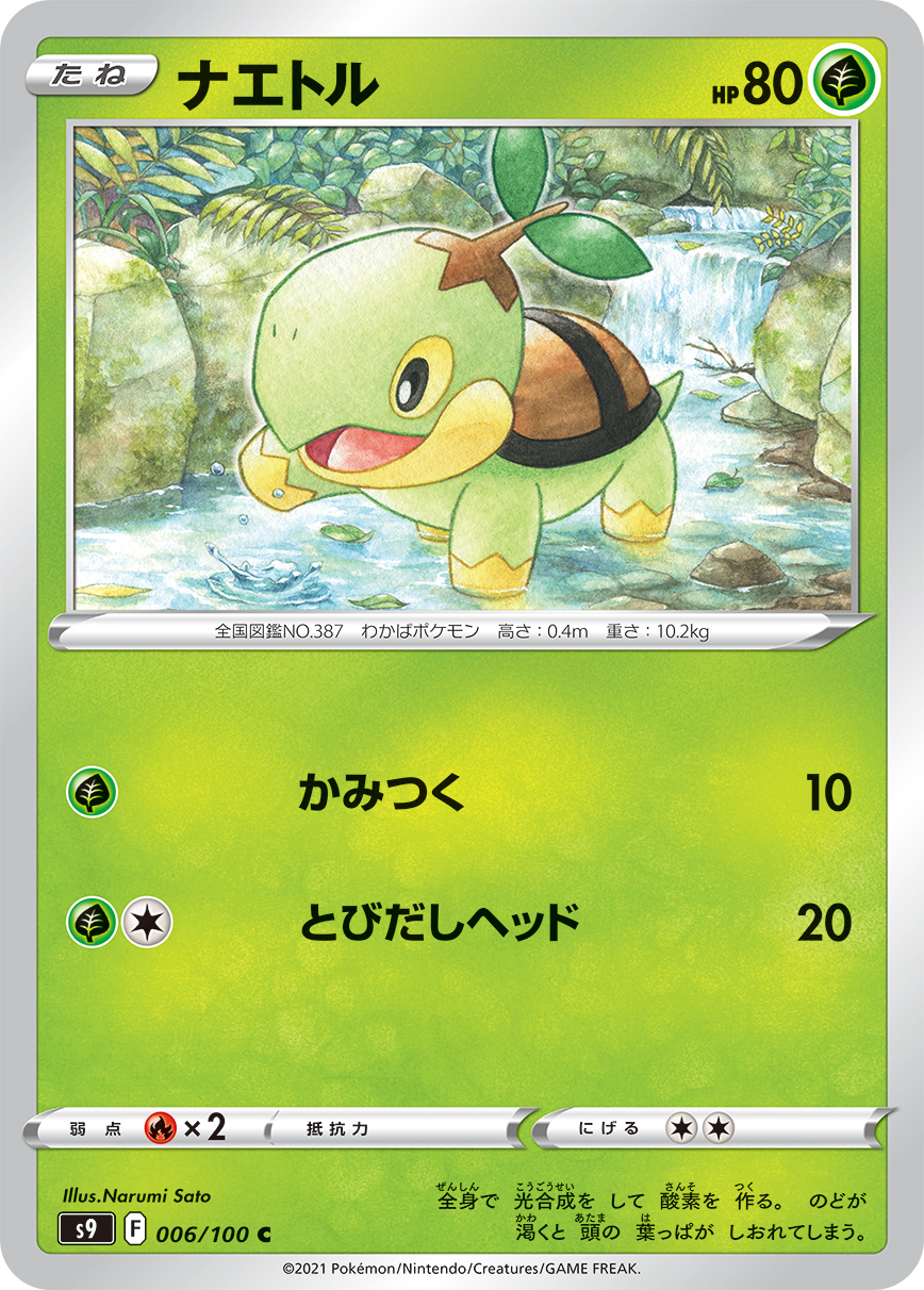 #006/100 草苗龜 ナエトル Turtwig