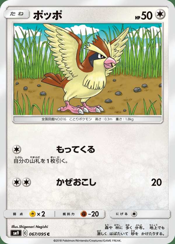 #067 波波 ポッポ Pidgey