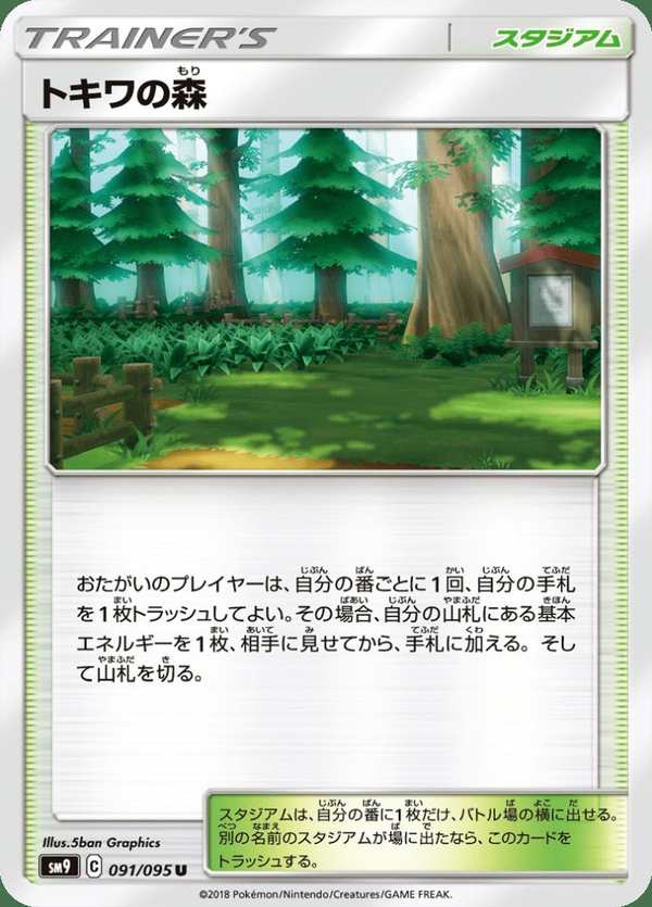 #091 常青森林 トキワの森 Viridian Forest