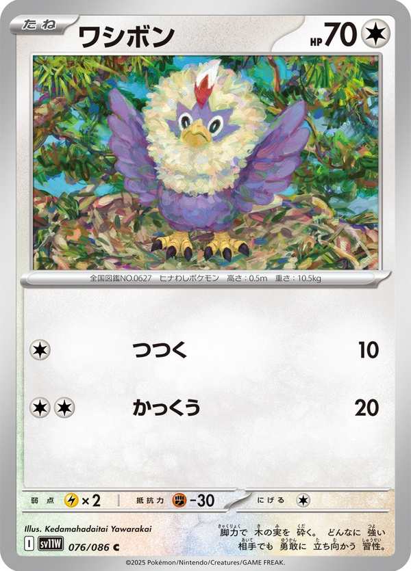 #076 毛頭小鷹 ワシボン Rufflet