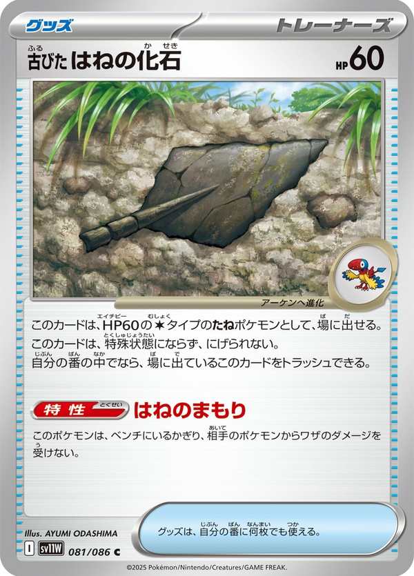 #081 陳舊的羽毛化石 古びたはねの化石 Antique Plume Fossil