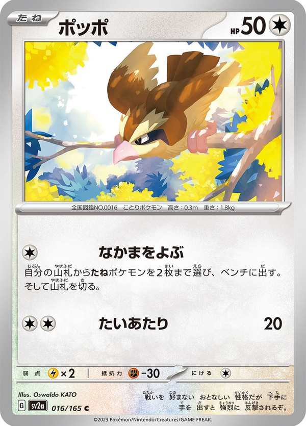 #016 波波 ポッポ Pidgey