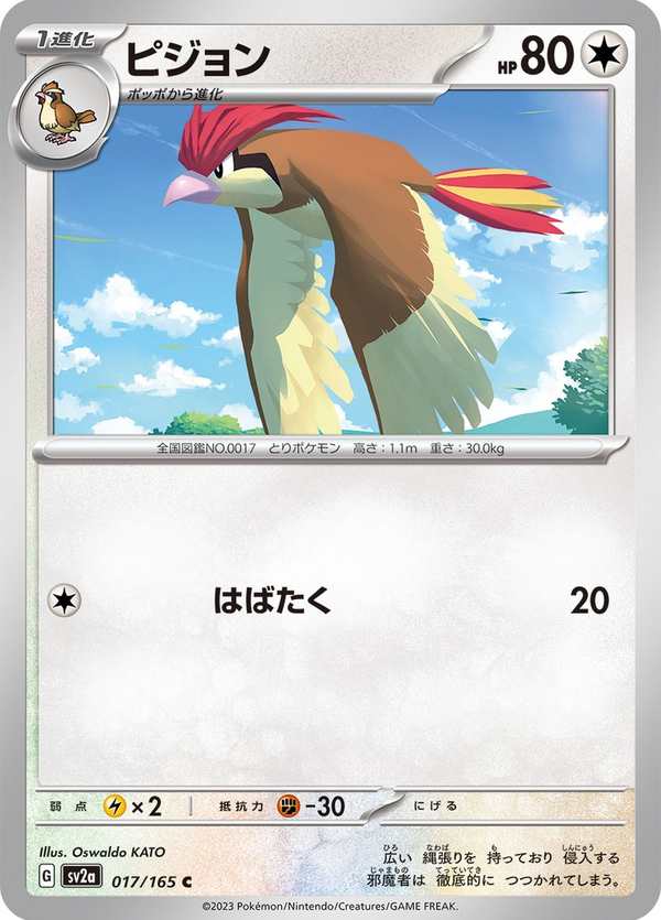 #017 比比鳥 ピジョン Pidgeotto