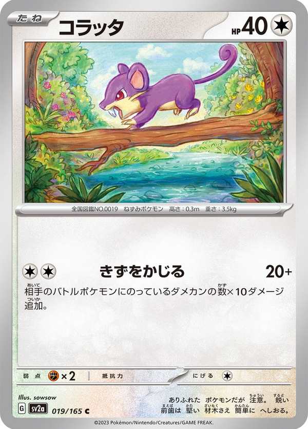 #019 小拉達 コラッタ Rattata