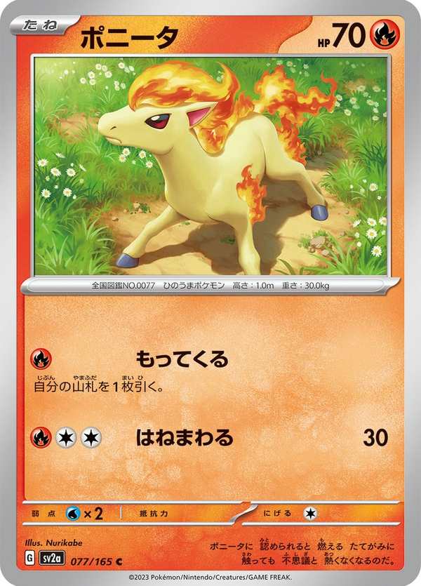 #077 小火馬 ポニータ Ponyta
