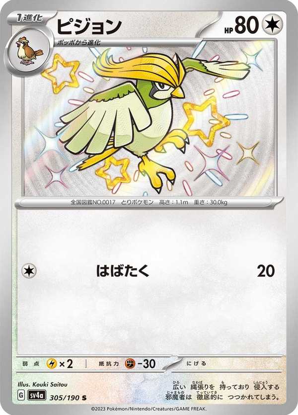 #305 比比鳥 ピジョン Pidgeotto